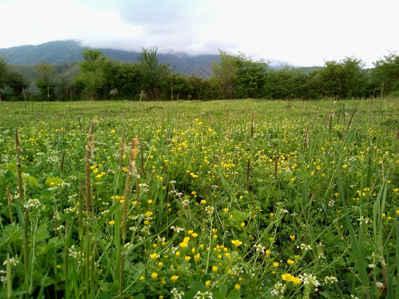 رستم آباد گیلان، رستم آباد، رستم آباد رودبار، گردشگری رستم آباد، جاذبه های رستم آباد، طبیعت گردی رستم آباد گیلان، مناطق دیدنی رستم آباد، جاهای دیدنی رستم آباد گیلان